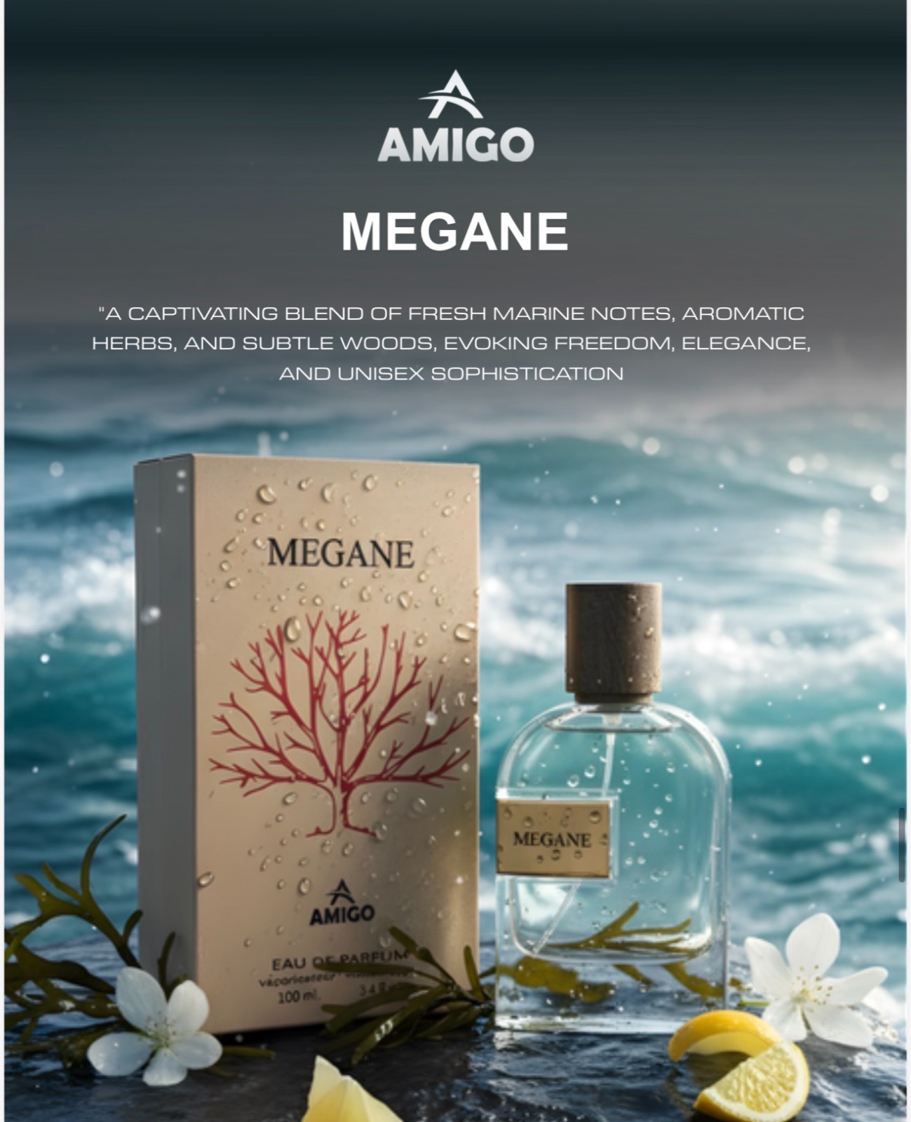 Megane Eau De Parum By Amigo Inspired By Megamare Orto Parisi perfume