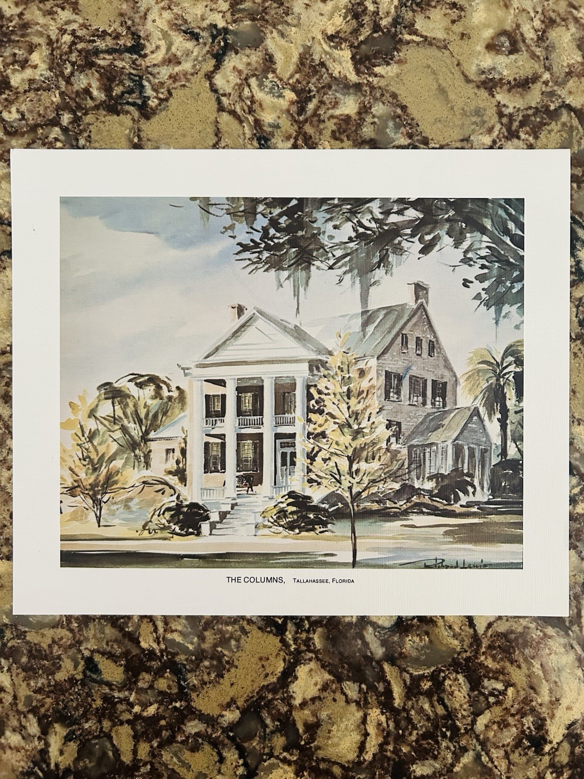 VTG Richard Lewis The Columns Tallahassee Fl Florida Print Art Artwork Scene VTG Richard Lewis The Columns Tallahassee Fl Florida Print Art Artwork Scene