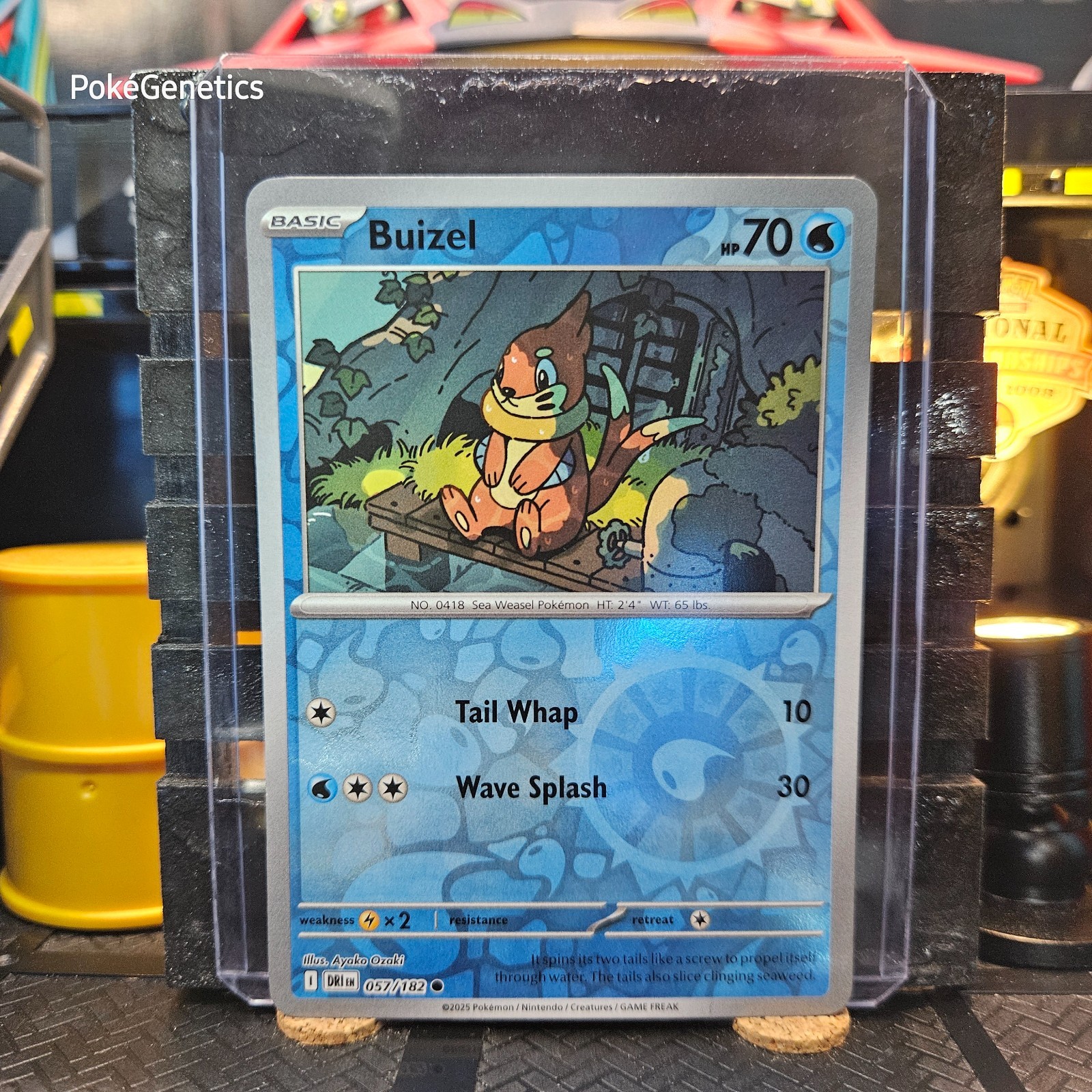 Buizel Destined Rivals Reverse Holo Pokémon TCG 057/182 Scarlet & Violet SV10