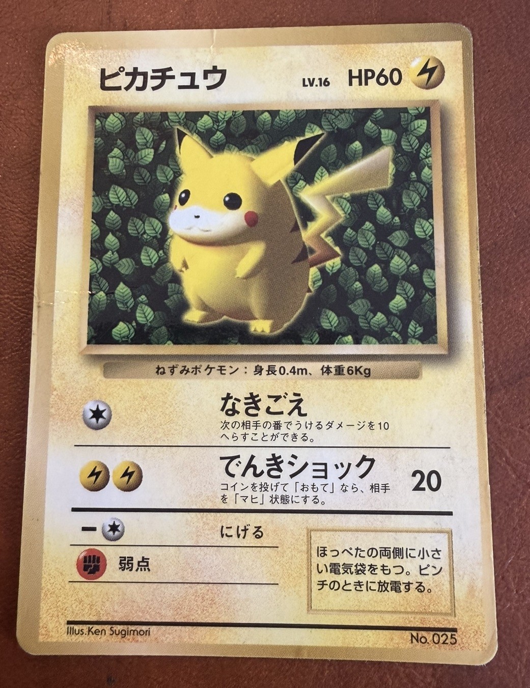 HP Ivy Pikachu Coro Coro Promo Glossy Ken Sugimori Japanese Pokemon Card 1996 #5 HP Ivy Pikachu Coro Coro Promo Glossy Ken Sugimori Japanese Pokemon Card 1996 #5
