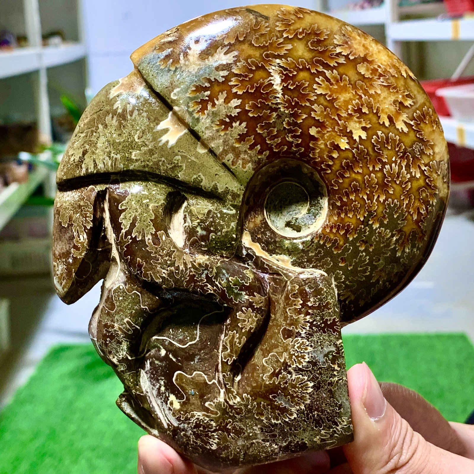 1.13LB Natural Tentacle Ammonite Fossil Crystal Specimen Shell Crystal