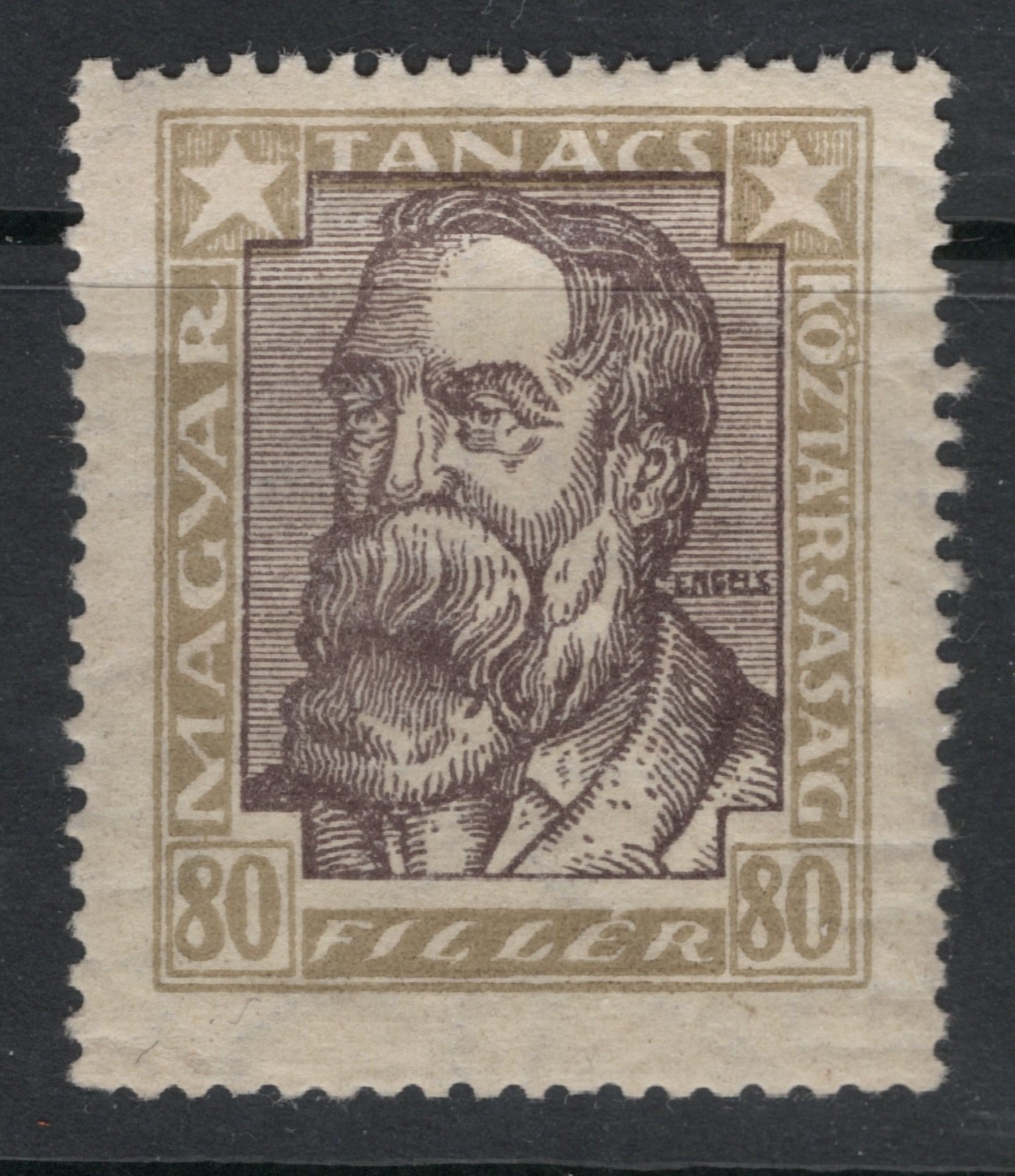 MH 1919 Hungary Friedrich Engels 80f Stamp, Scott #202a*