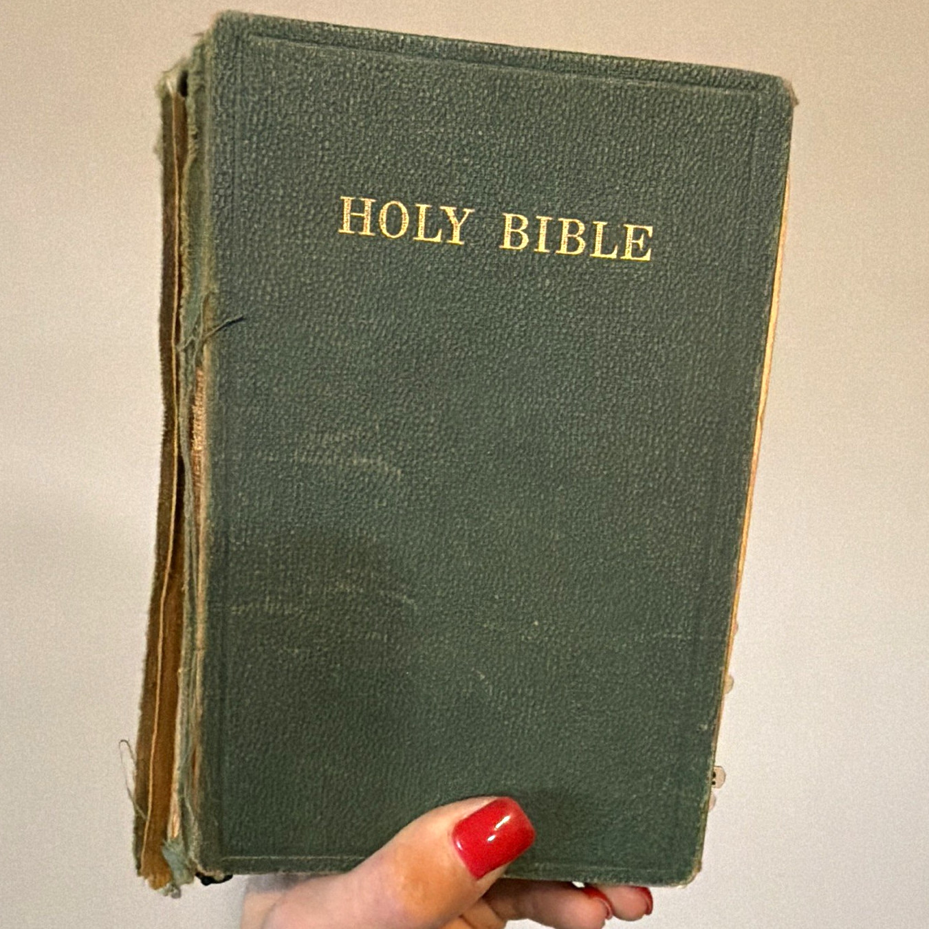 Oxford University Press – Oxford Self-Pronouncing Holy Bible KJV Hardcover