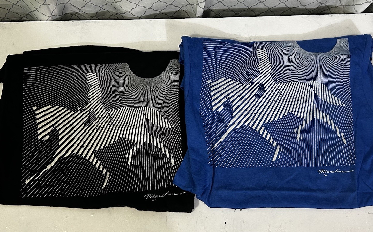 (2) Vintage EQUESTRIAN T-Shirts XS Blue & Black NWOT 1980s Horse Single Stitch