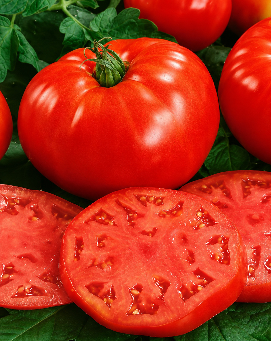 100 Heirloom Floridade Tomato Seeds - Determinate Heat Tolerant Slicing Tomato