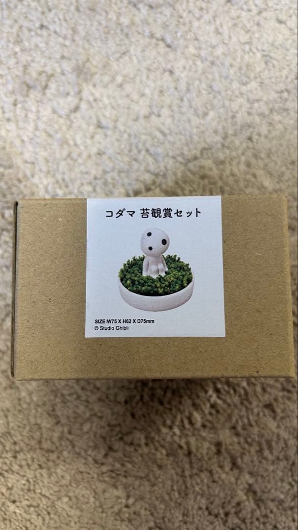 Princess Mononoke Kodama Moss Viewing Set Figure Studio Ghibli Japan New