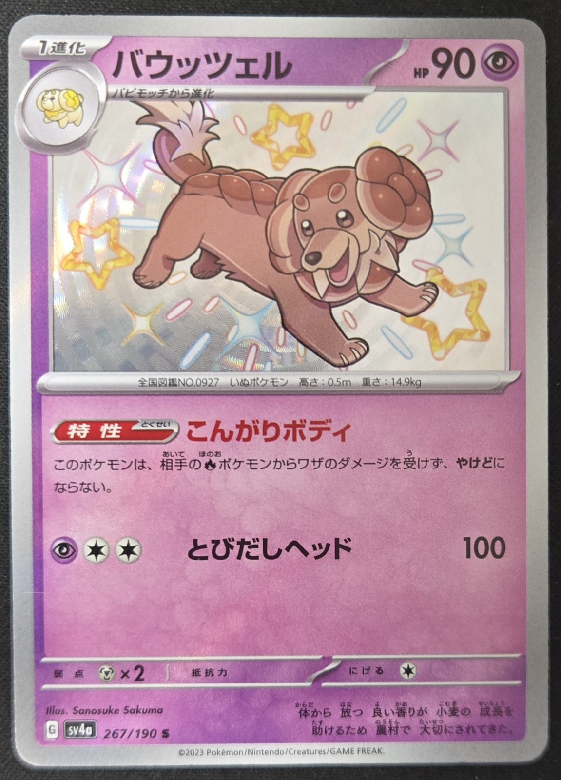 Japanese Dachsbun 267/190 sv4a Shiny Treasure ex Shiny Holo Rare Pokémon 2023 NM