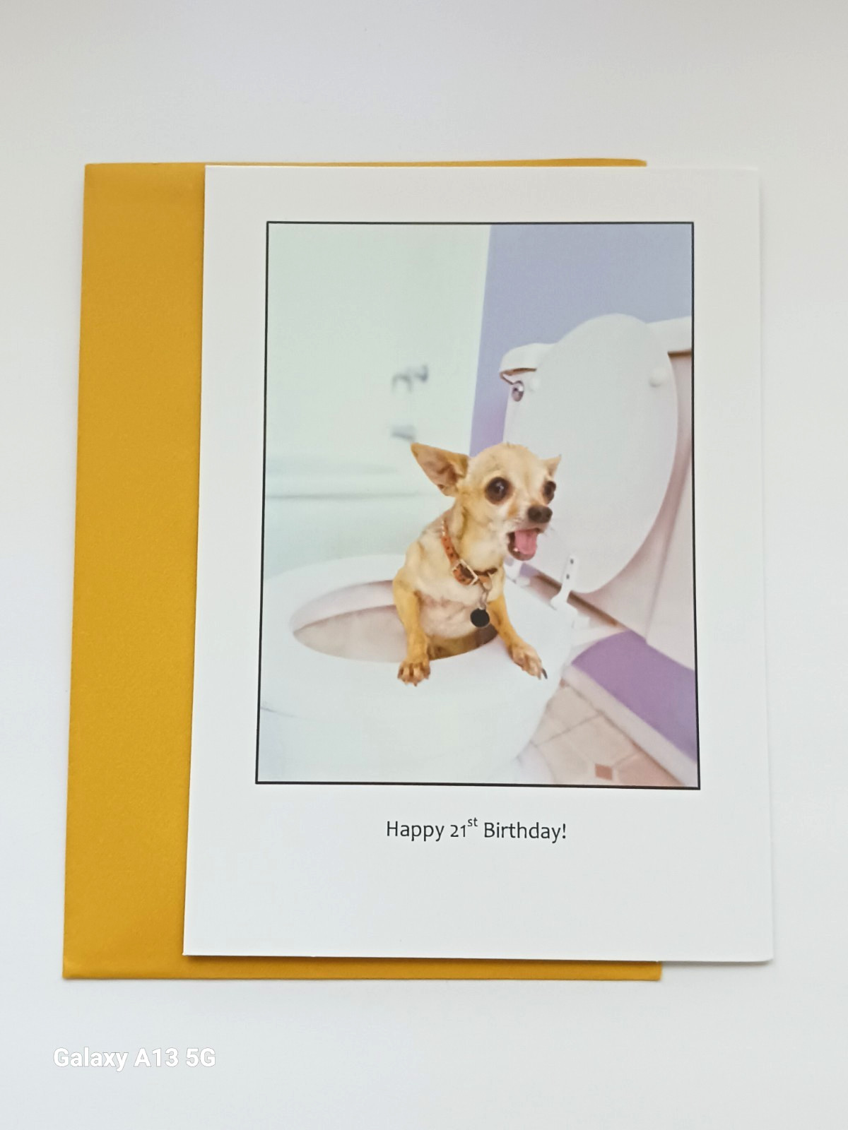 Funny Happy 21st Birthday Card- Dog in Toilet - DRINK RESPONSIBLY