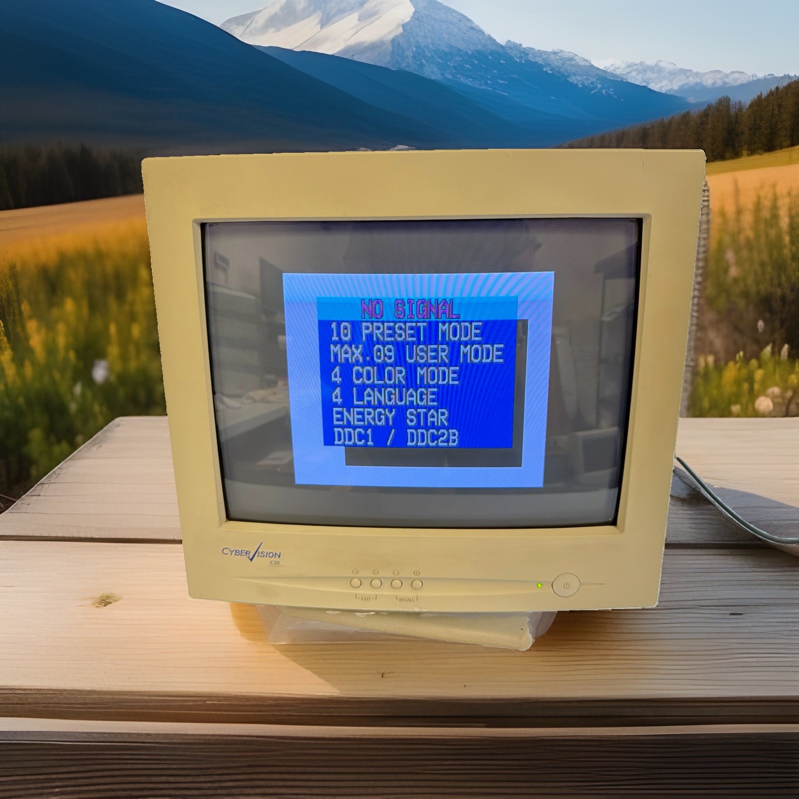RARE Vintage CyberVision C-Series (C50 model) CRT Monitor 14 inch - Great