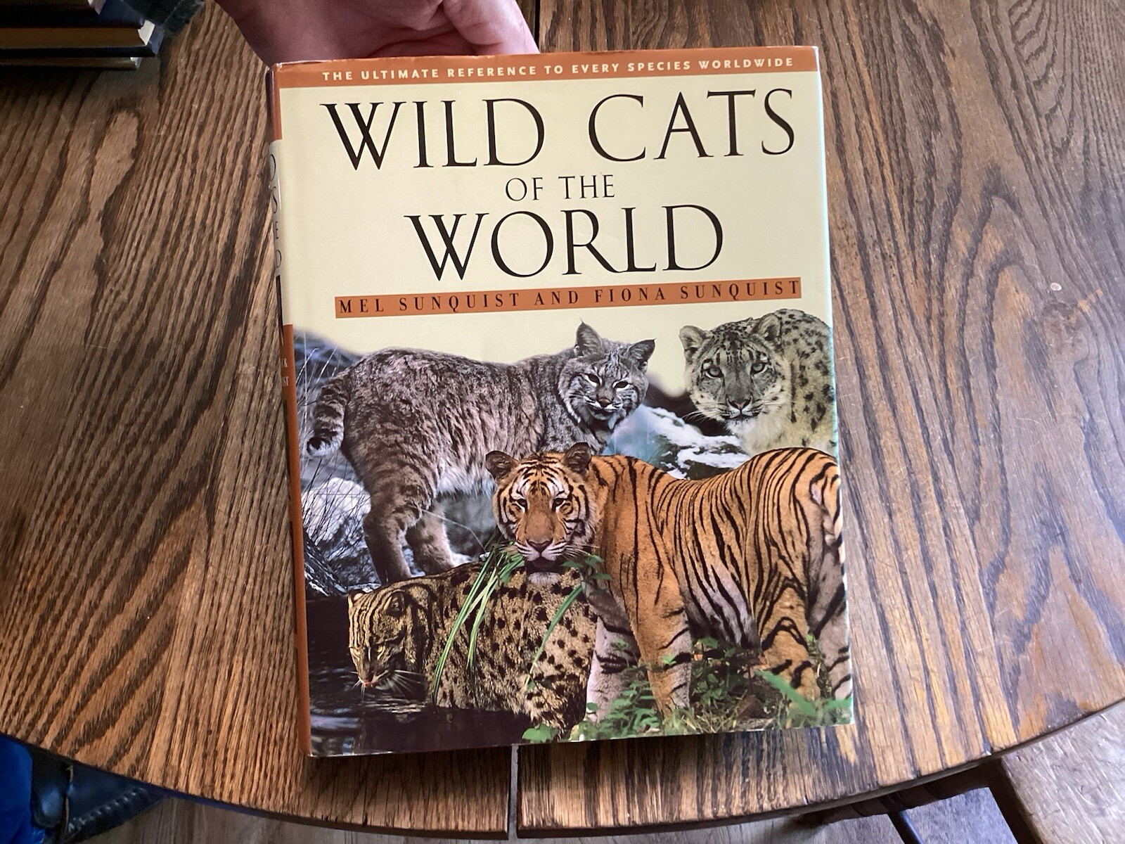 2002 Wild Cats World By Sunquist Cheetah Tiger Lion Puma Leopard Illustrated VF