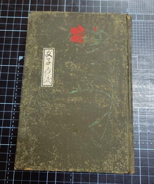 Meiji Novel Ayakos Tears Kaburaki Kiyokata Kuchie Woodblock Illustration 1910