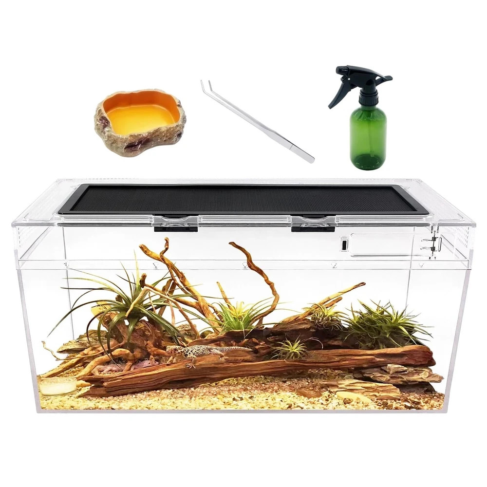 Reptile Growth 20x10x8 Terrarium Tank for Gecko Tarantula Crab Iguana Reptile Growth 20x10x8 Terrarium Tank for Gecko Tarantula Crab Iguana