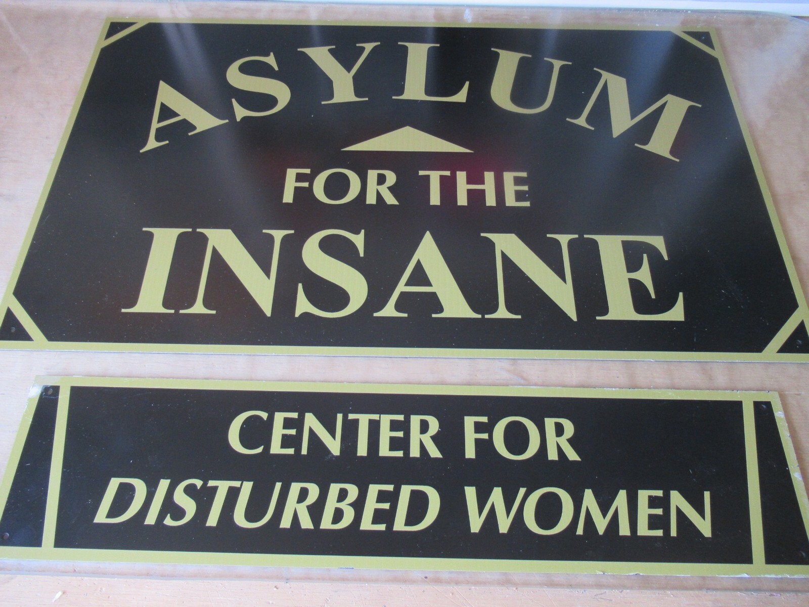 ASYLUM FOR THE INSANE / DISTURBED WOMEN MD DORM ROOM SIGN FRATERNITY SORORITY ASYLUM FOR THE INSANE / DISTURBED WOMEN MD DORM ROOM SIGN FRATERNITY SORORITY