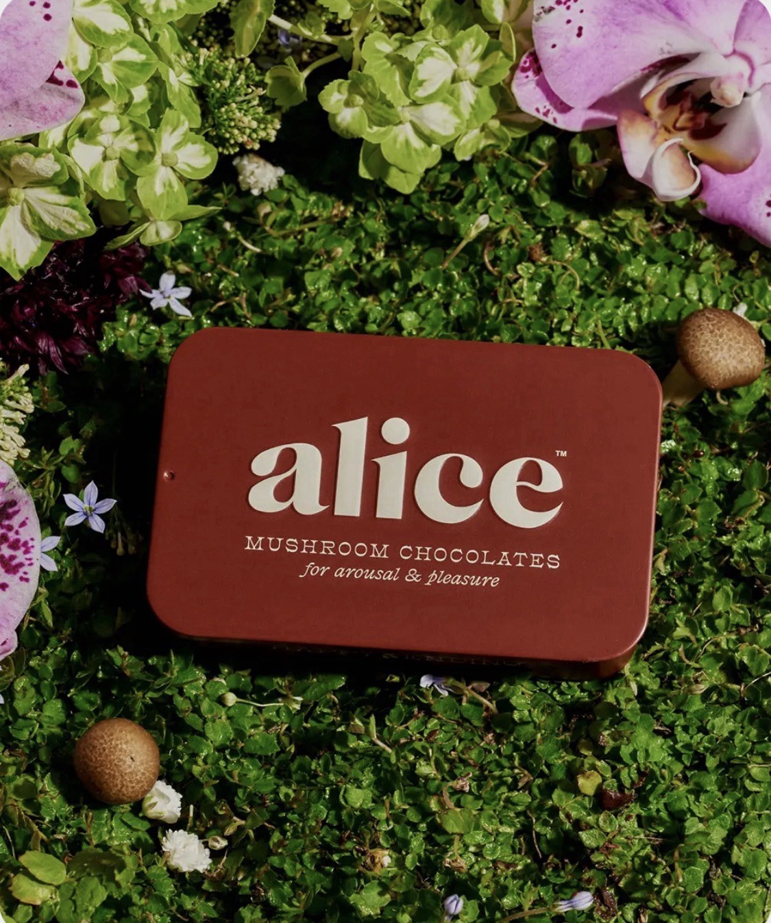 alice Mushroom Chocolate Bar Sexual Wellness Vegan Gluten Free