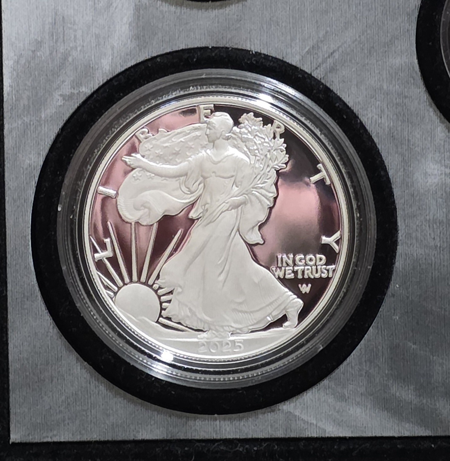 2025 S Limited Edition Proof American Silver Eagle Without Box FAST SHIPPING