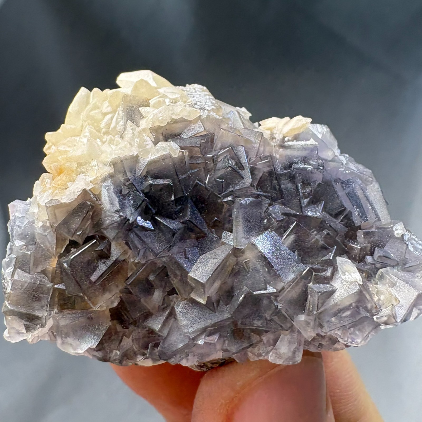 Natural Fluorescent Crystal Cubic Fluorite w/ Gypsum Cluster Specimen Mineral