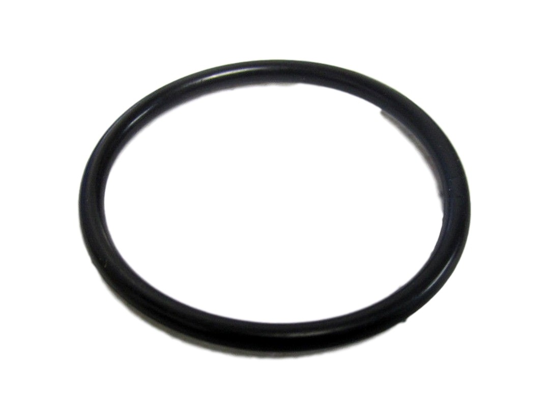 Zodiac Jandy Polaris 5-9-2001 592001 W3630011 Caretaker Valve Small O Ring Only
