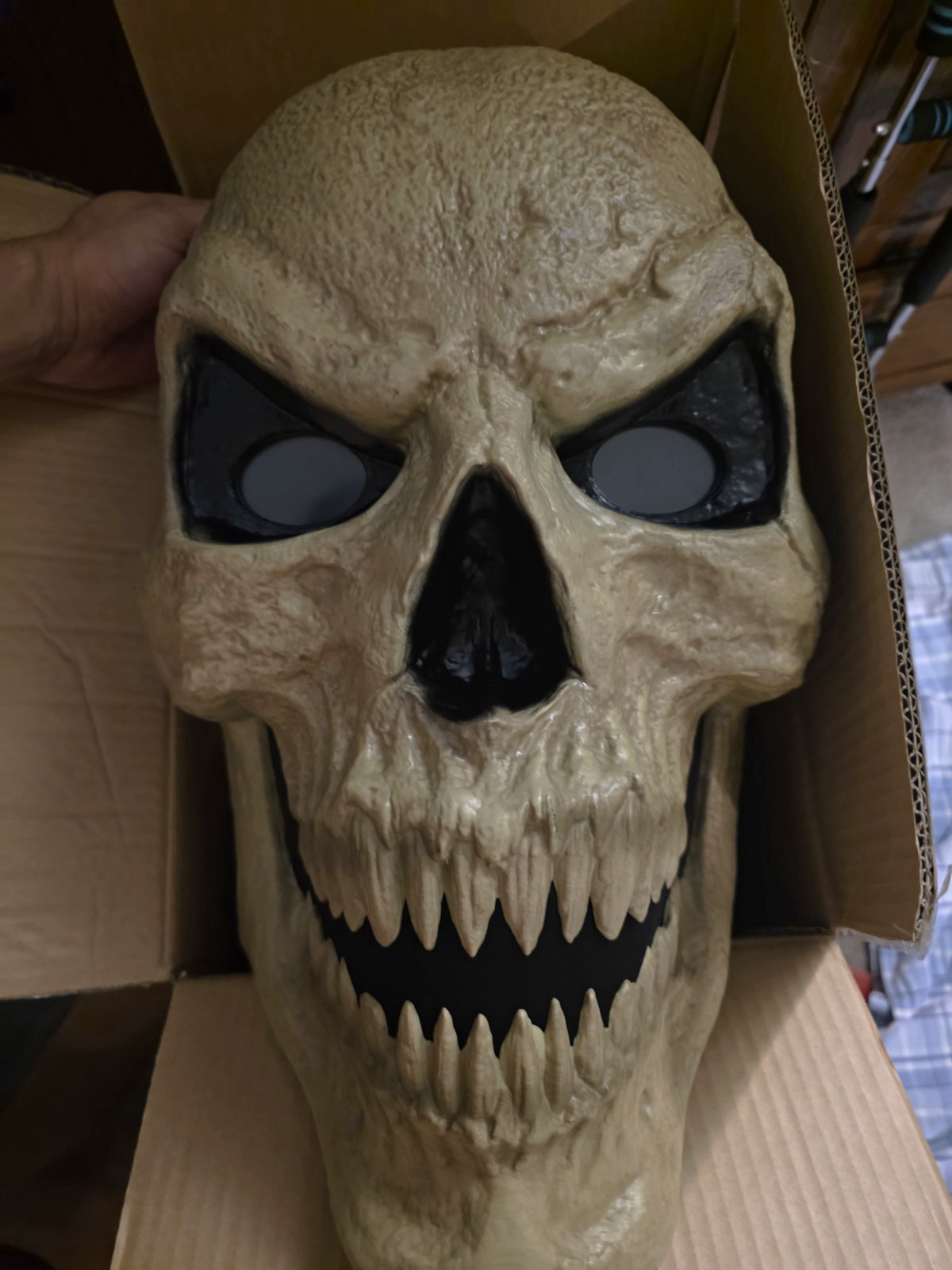 Home Depot Skelly Skeleton Scary Head Halloween Decoration NEW IN BOX