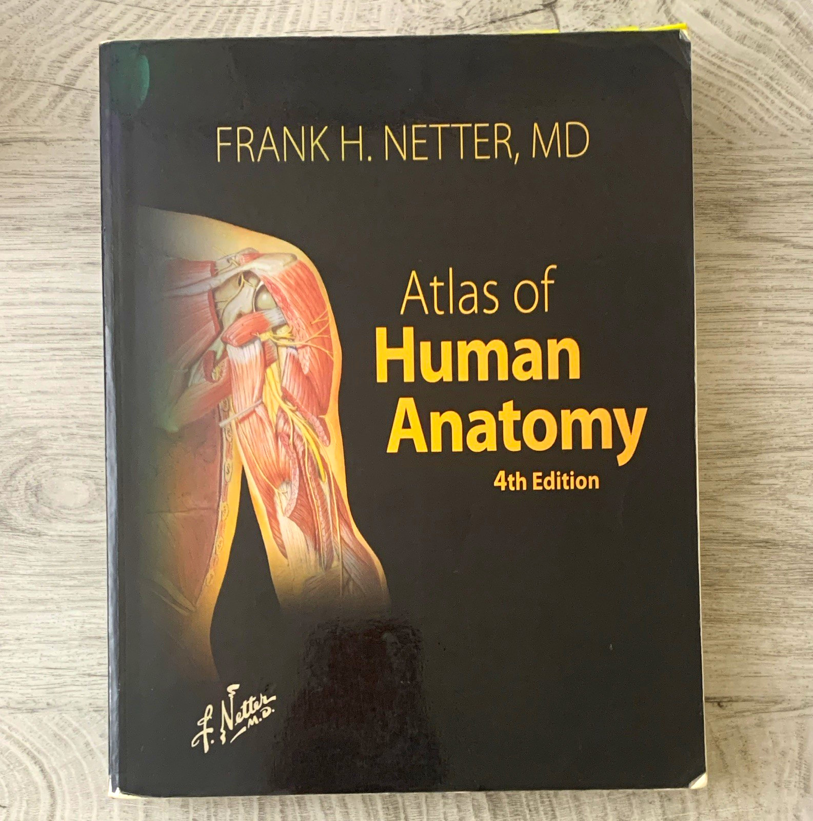 Atlas of Human Anatomy 4th Ed PB 2006 Frank H. Netter Saunders Elsevier Atlas of Human Anatomy 4th Ed PB 2006 Frank H. Netter Saunders Elsevier