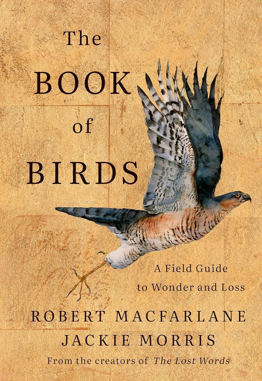 Book of Birds : A Field Guide to Wonder and Loss by Jackie Morris and Robert...