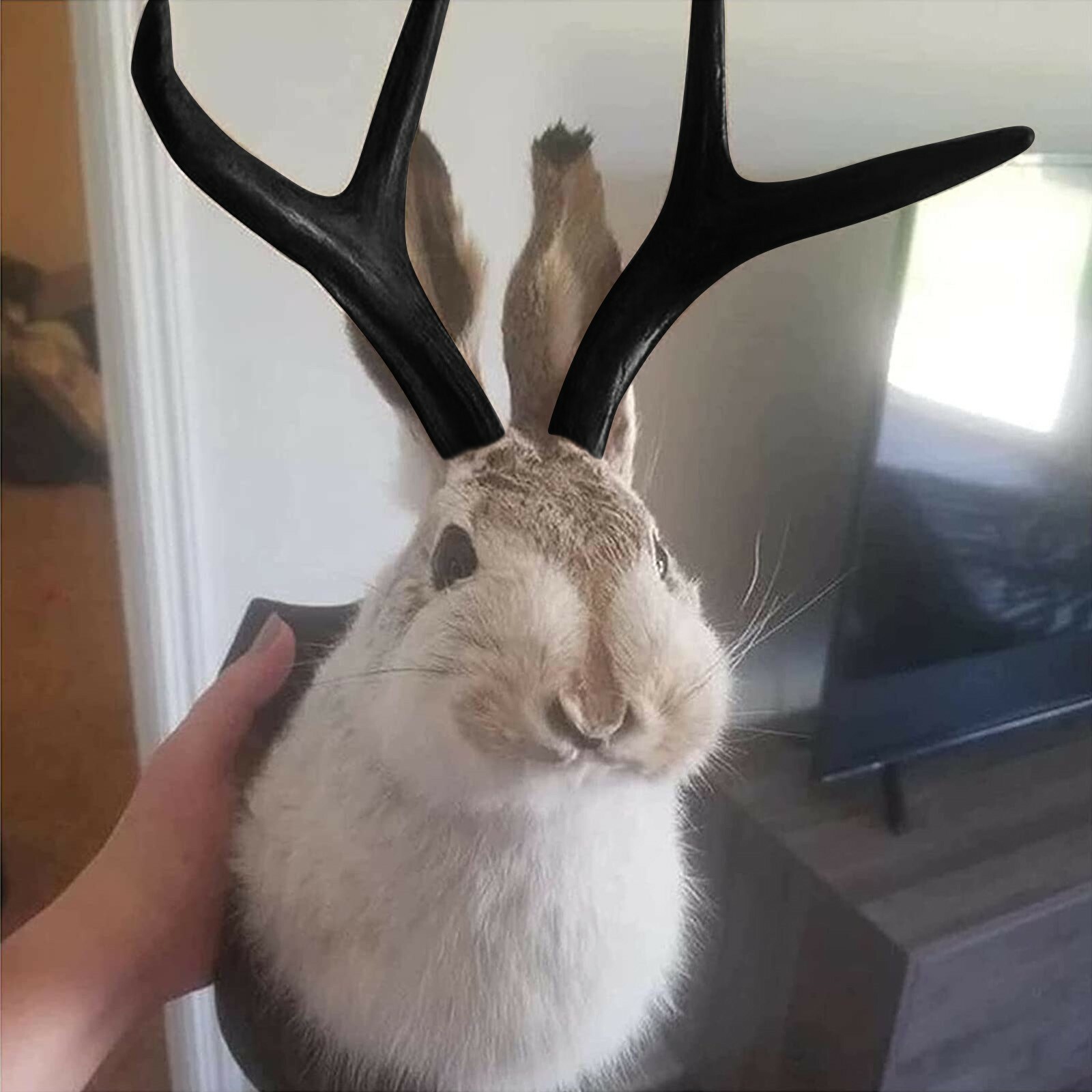 Vintage Jackalope Rabbit Deer Antler Head Wall Mount Animal Home Decor Sculpture