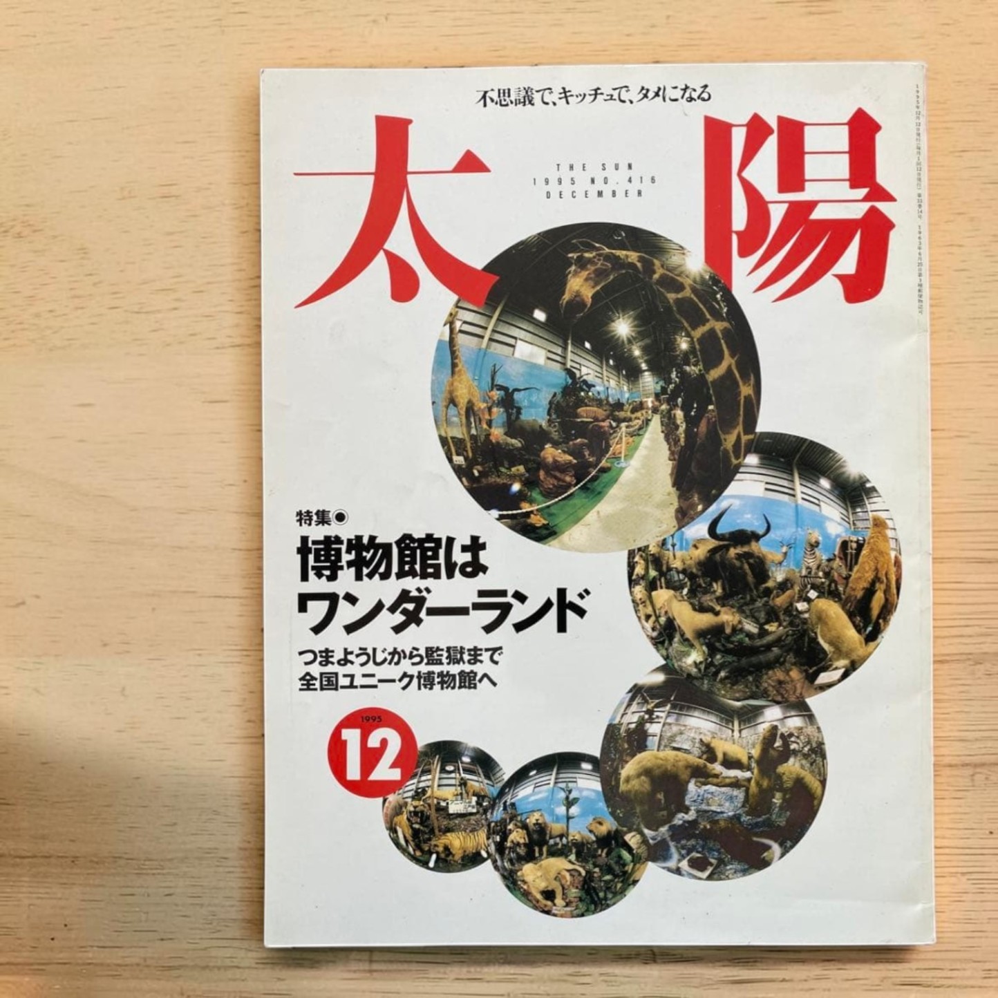 Taiyo Magazine December 1995 Museums Wonderland Takagi Bonsai Museum Japanese