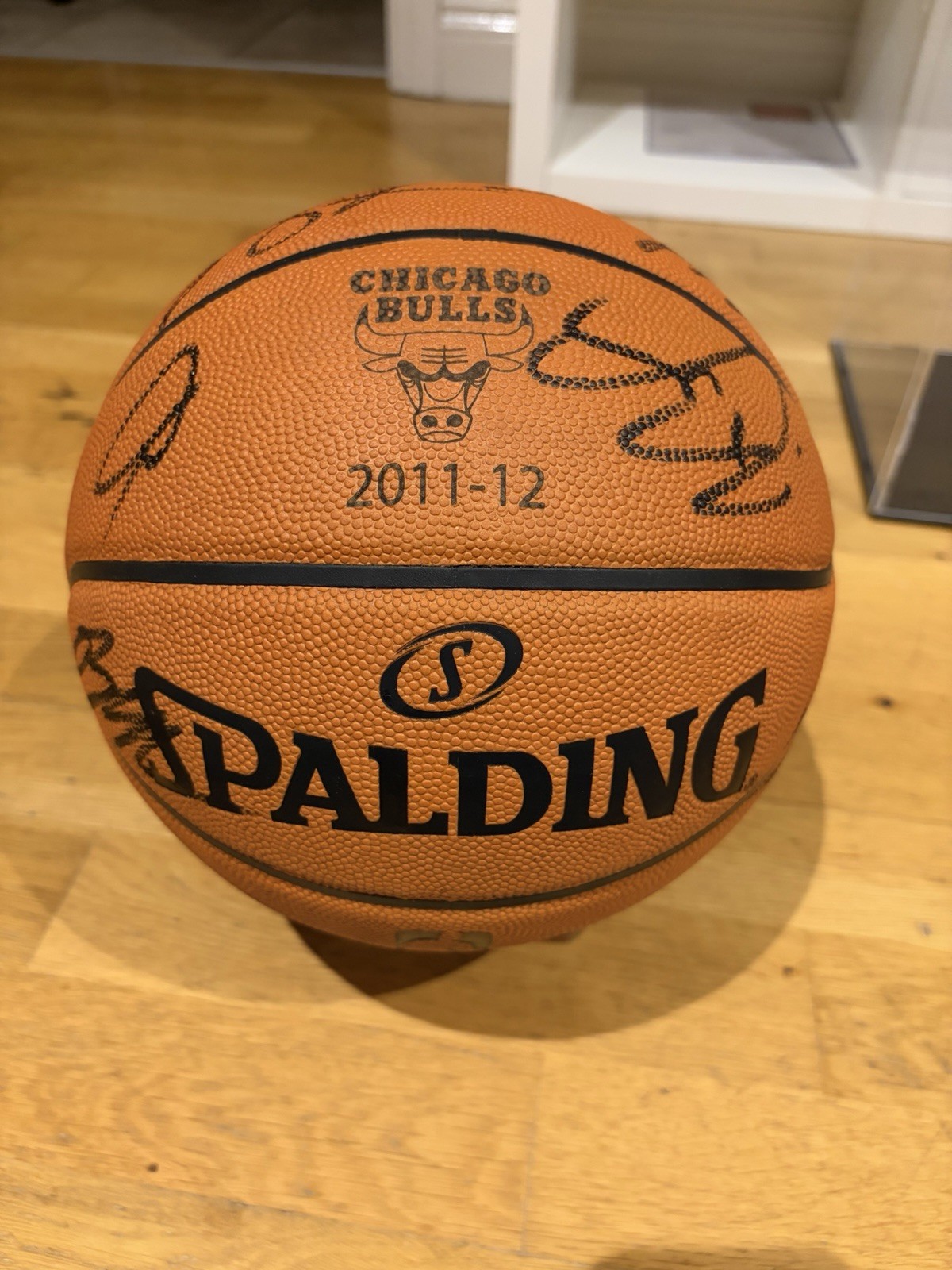 Spalding 2011-12 Chicago Bulls HAND SIGNED Basketball
