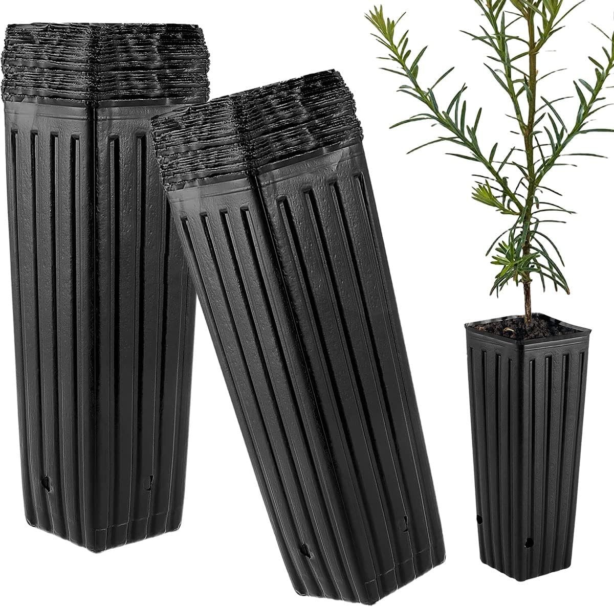 Tall Deep Tree Pot, 50Pcs Plastic Plant Seedling Treepots Flower Black Tall Deep Tree Pot, 50Pcs Plastic Plant Seedling Treepots Flower Black