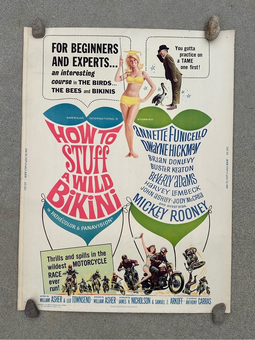 Vtg 1965 How To Wear A Stuff A Wild Bikini Panavision 1-Sheet Poster 30x40 Vtg 1965 How To Wear A Stuff A Wild Bikini Panavision 1-Sheet Poster 30x40