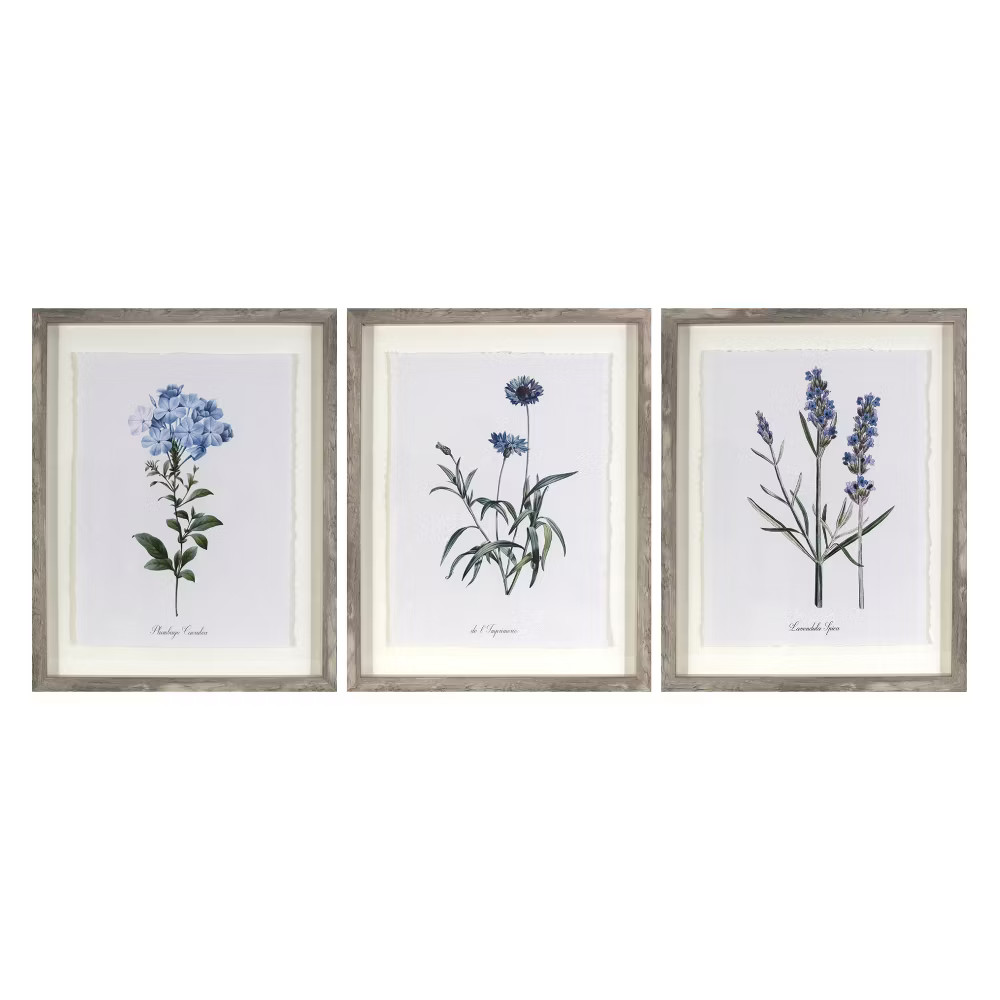 (Set of 3) 16