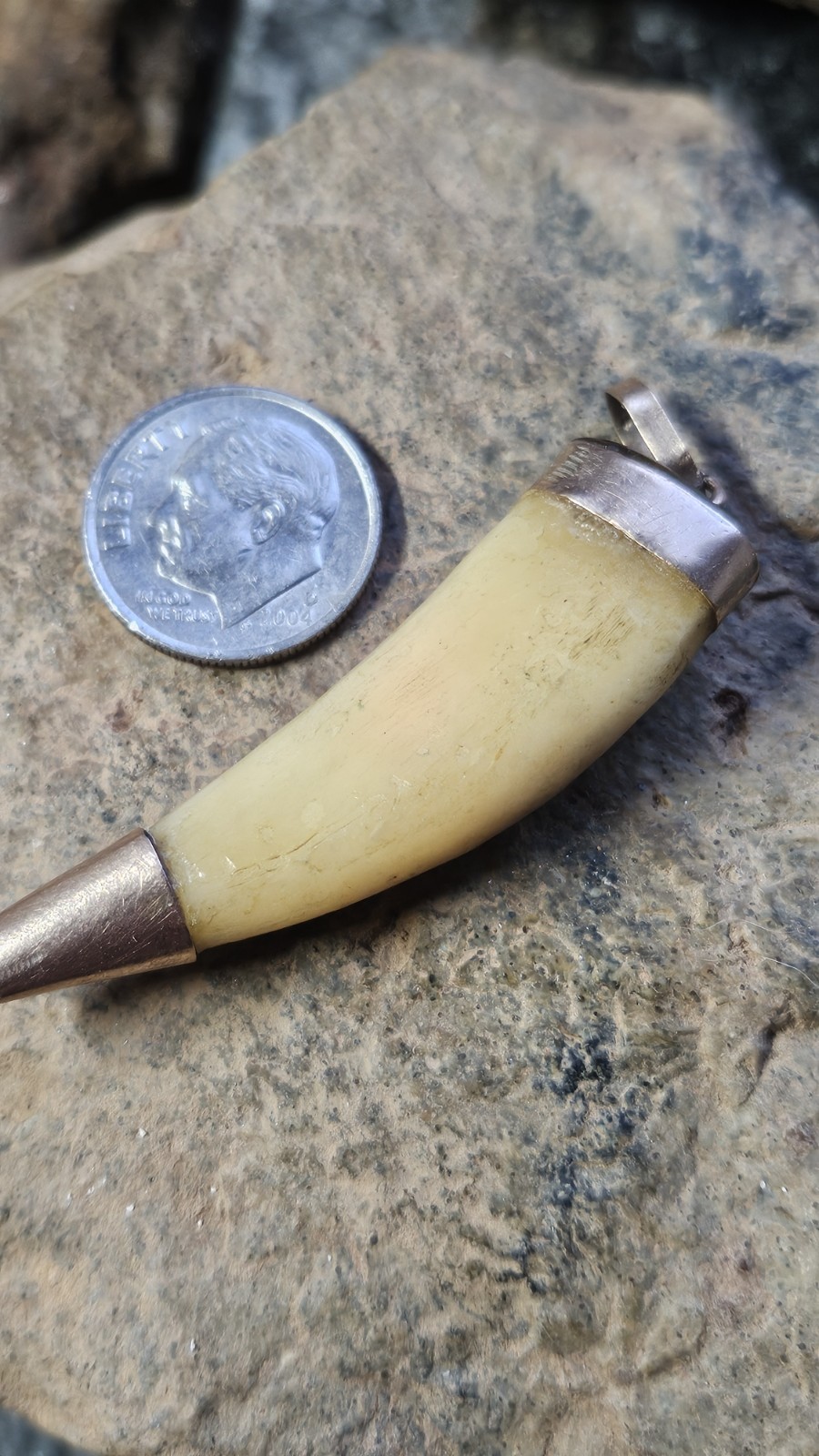 Victorian Lions Tooth Style Pendant.  Antique Great Condition 