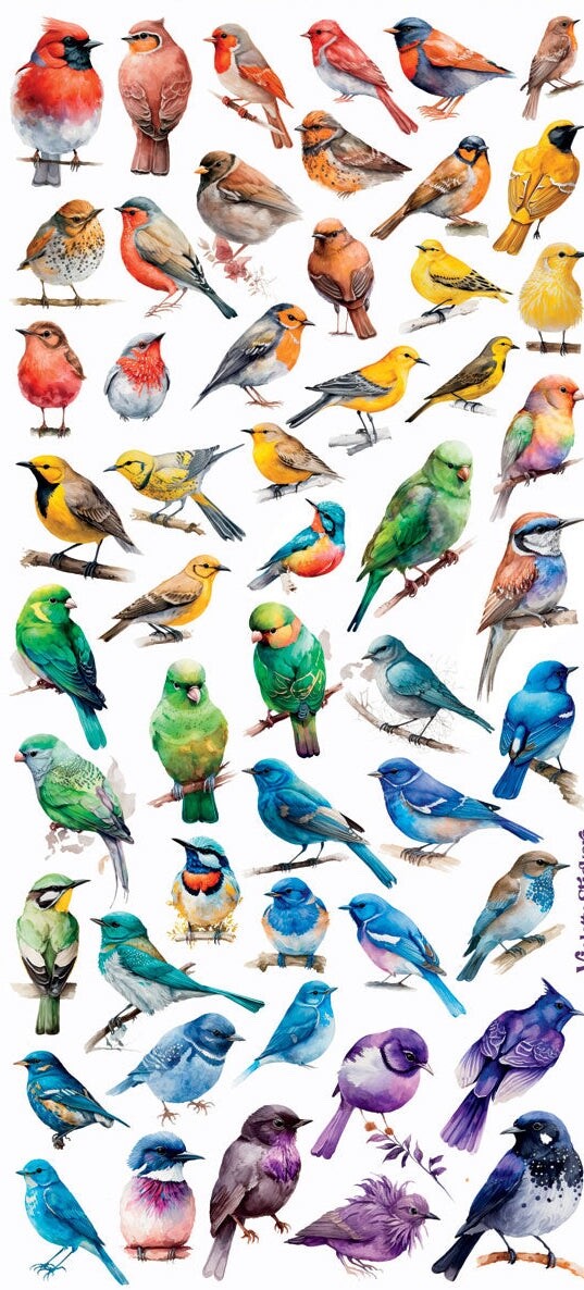 Violette Stickers Mini Rainbow Realistic Birds  Crafts Planner Supply Scrapbook