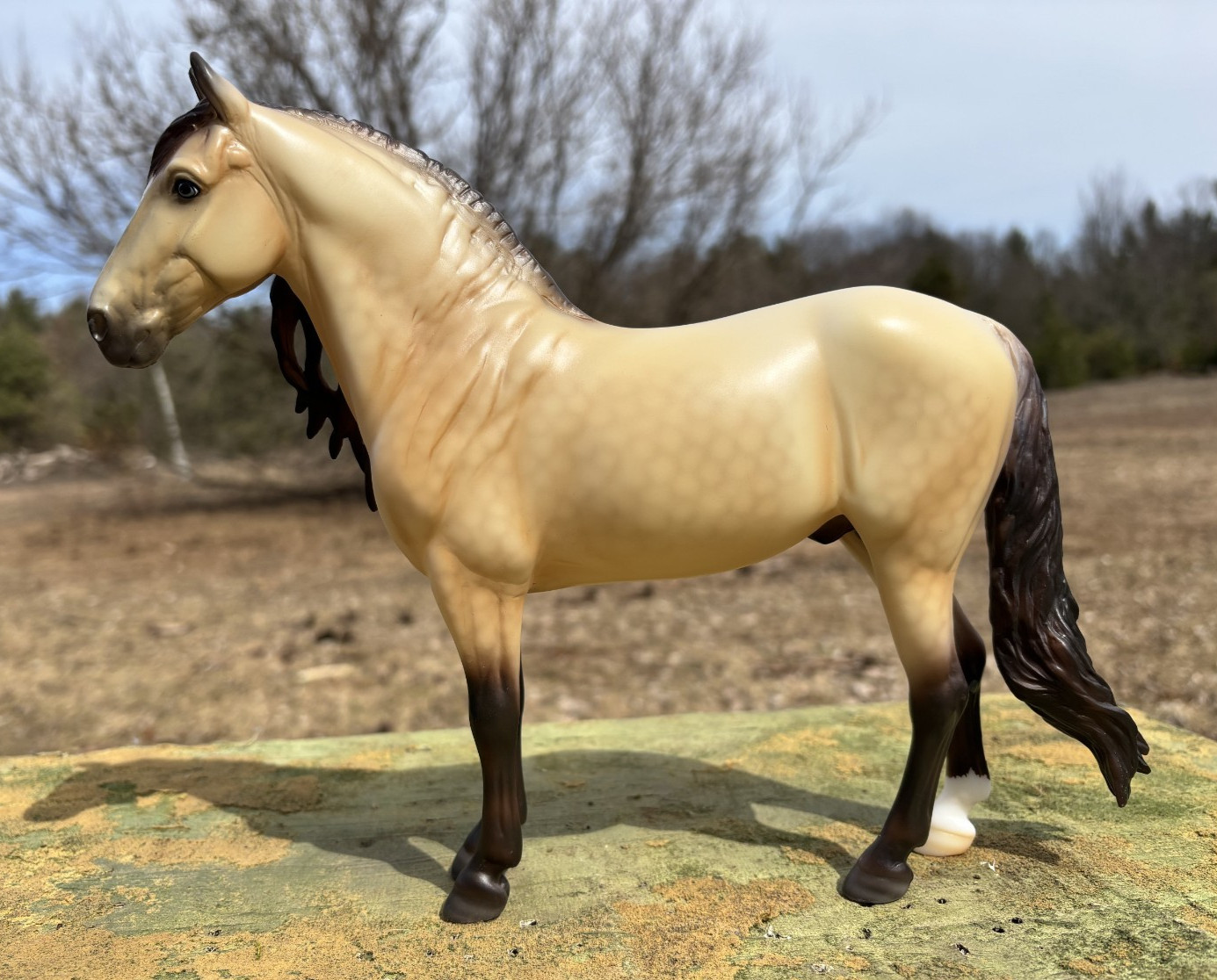 Breyer Destinations Web Special Breyer Destinations Web Special