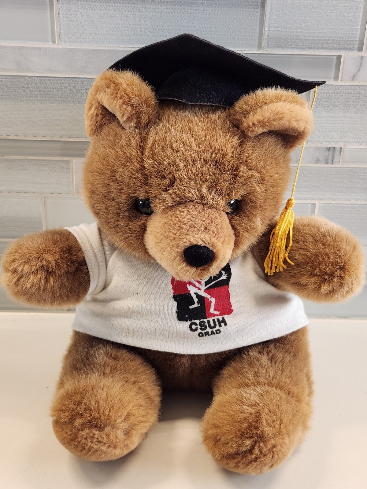 Vintage California State University Hayward Cal CSUH Grad  9\