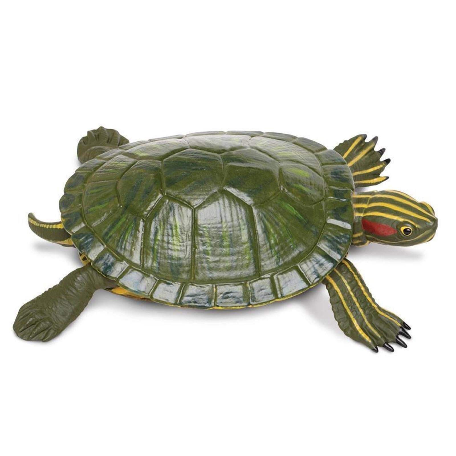 Red-Eared Slider Turtle Incredible Creatures Figure Safari Ltd NEW Toys Kids