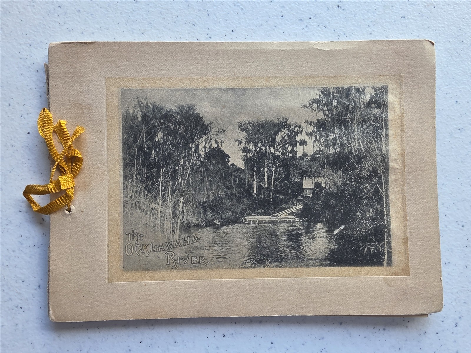 Oklawaha River Florida Antique 1892 Book Portfolio of Photos, 24 Photogravures