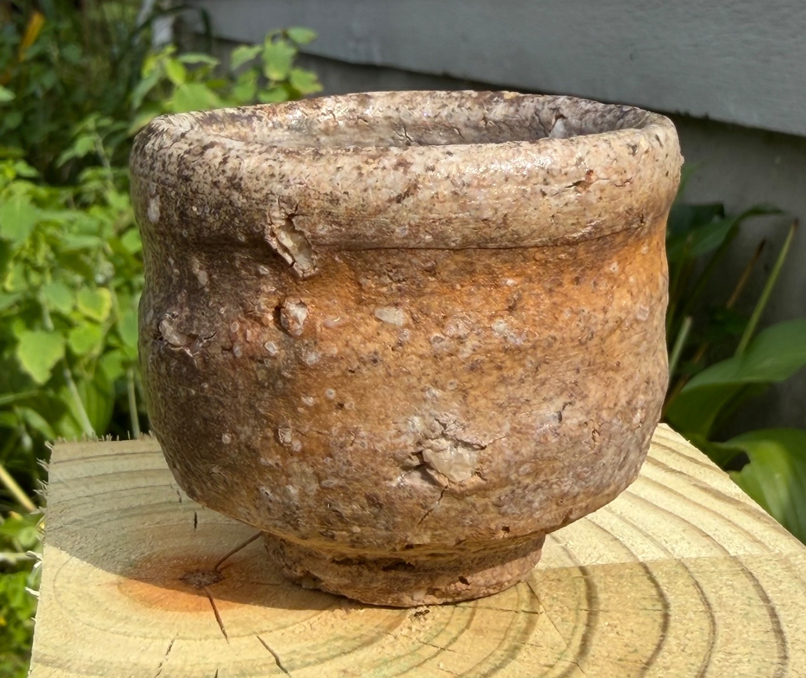Shigaraki Ware Guinomi Sake Cup by Furutani Michio Shigaraki Ware Guinomi Sake Cup by Furutani Michio