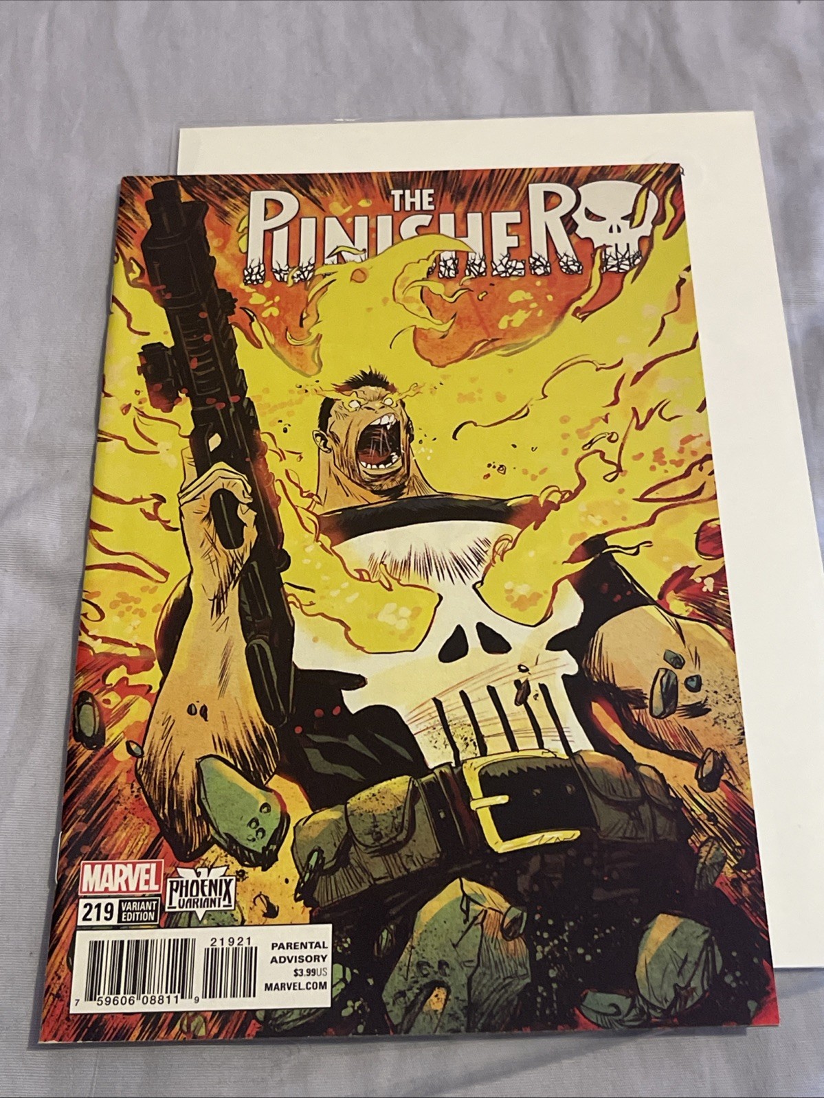 Punisher #219 Greene variant NM Gem wow z