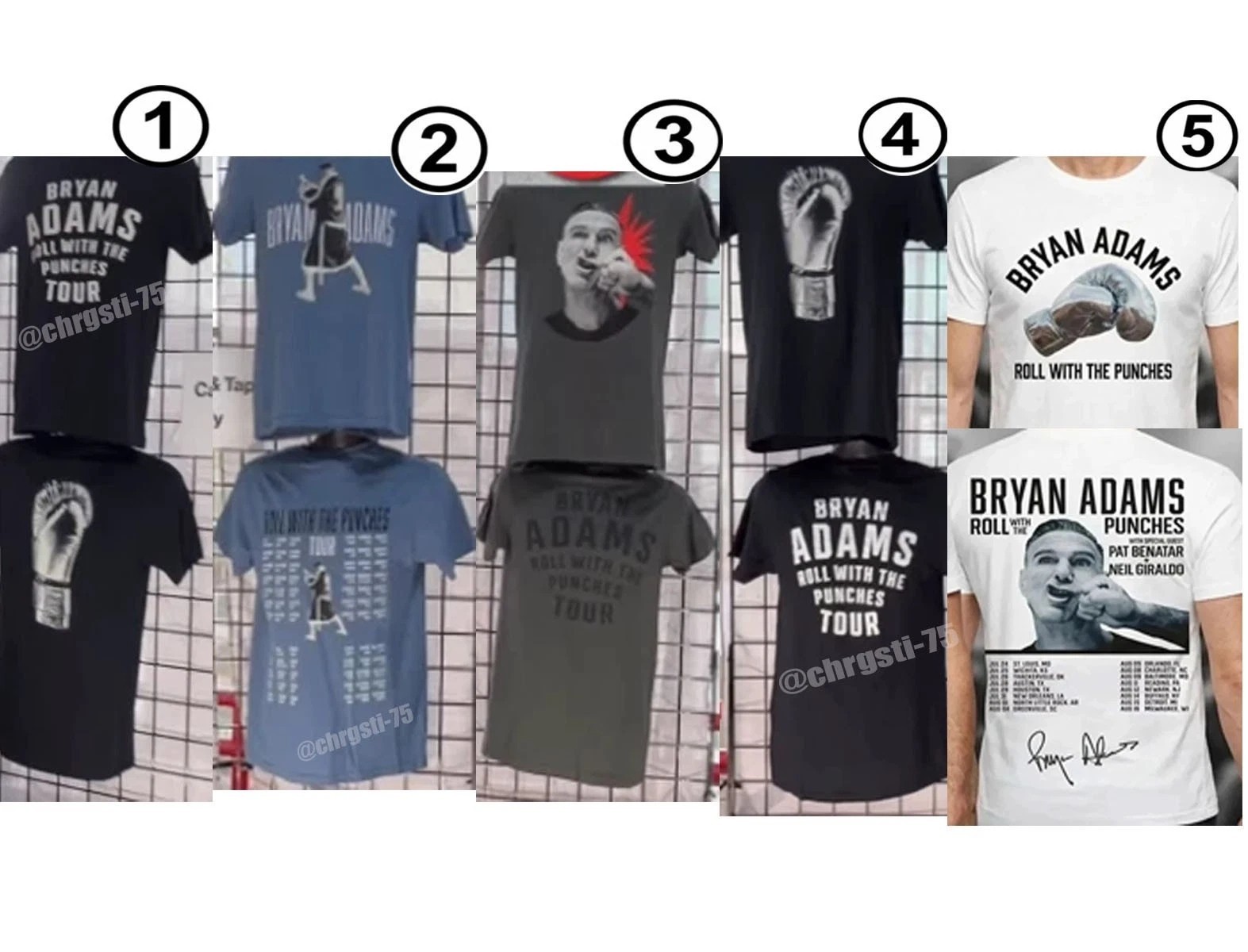Bryan Adams Roll With The Punches Concert Tour 2026 T-Shirt Reprint, Gif Fan