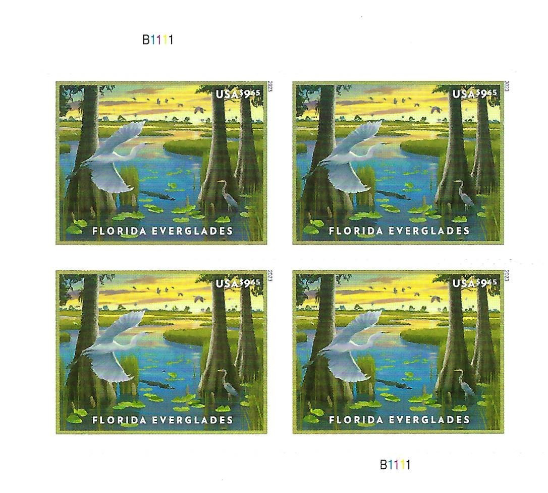 Florida Everglades - Priority Mail-9.65 x 4 = 38.60**Free Shipping