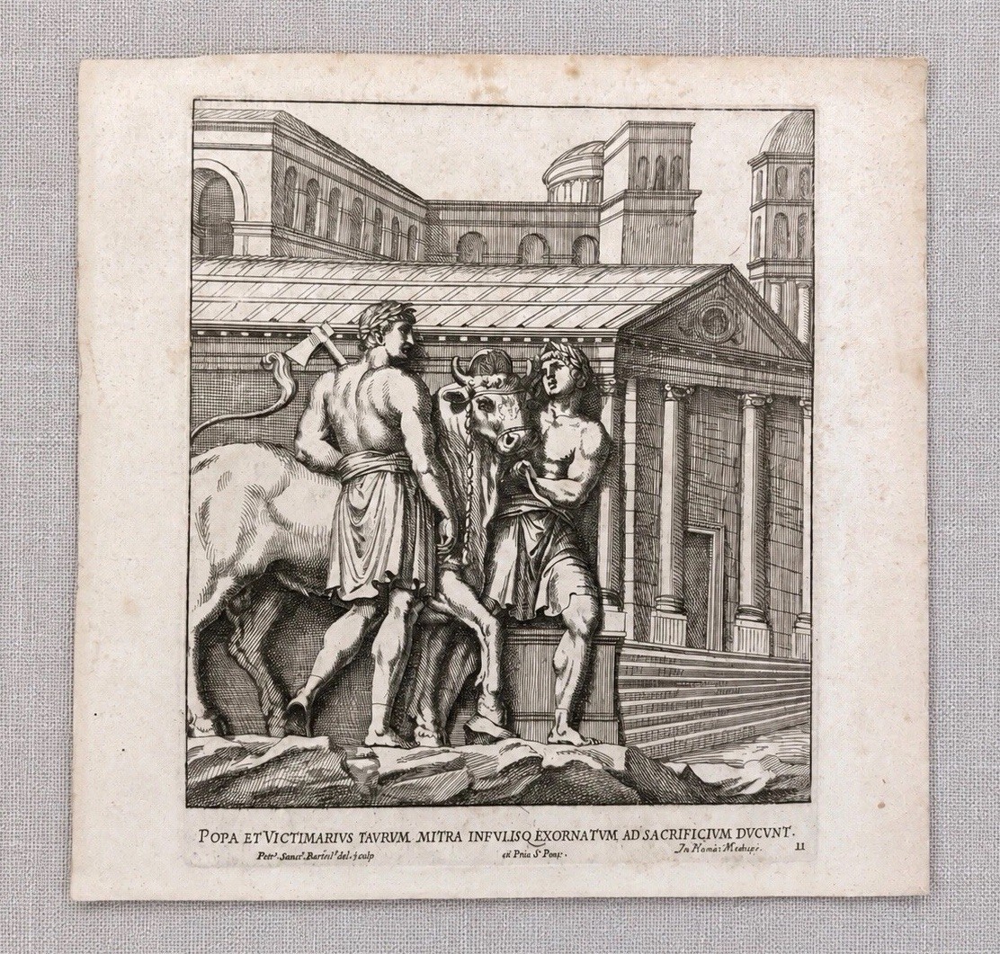 17thC  Copper Engraving 1677 Plate 11 Bull Pietro Santi Bartoli Roman Sacrifice