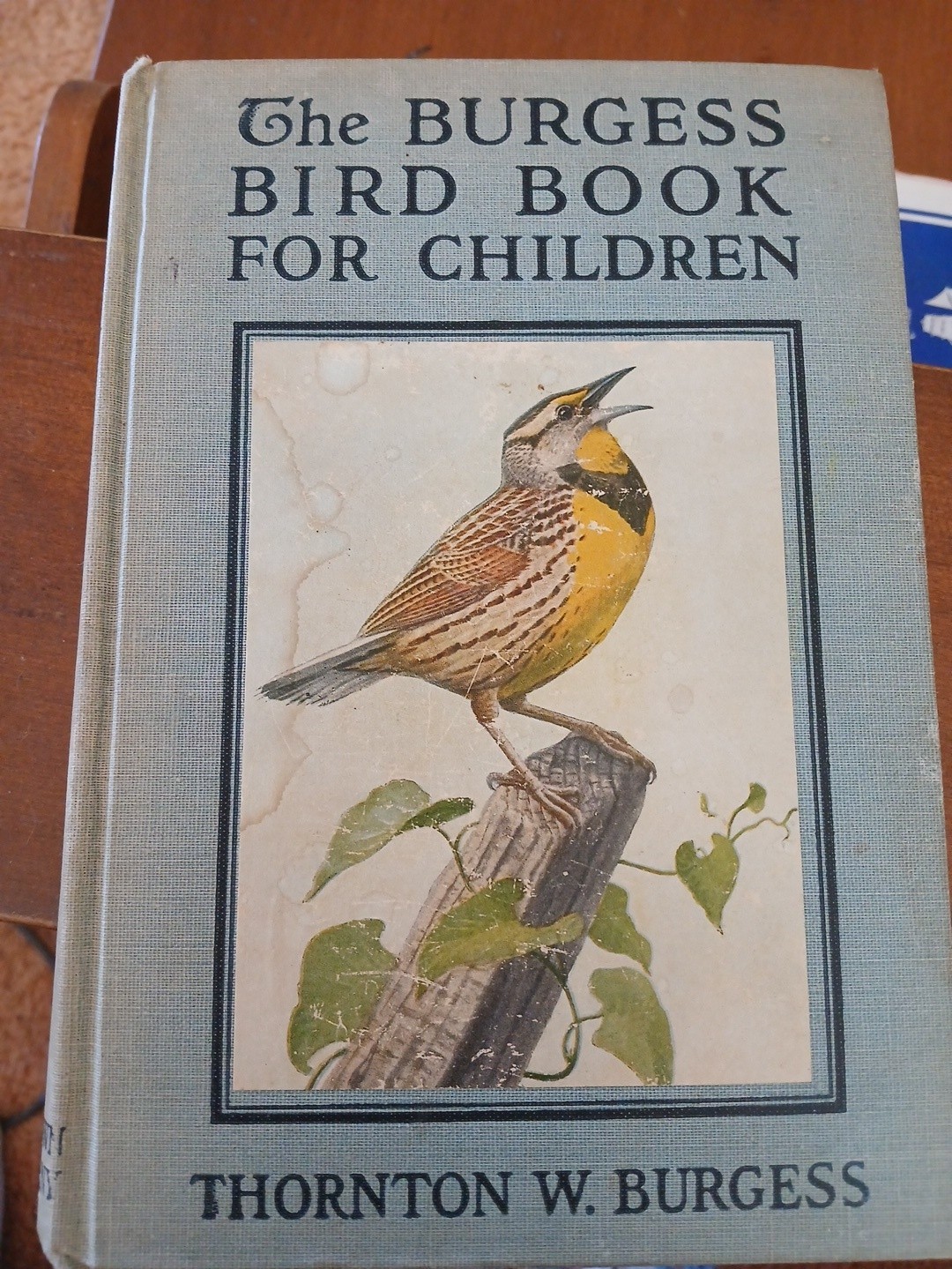 The Thorton Burgess Bird Book for Children, Hardcover, 353 Pages, 1919 1st ed