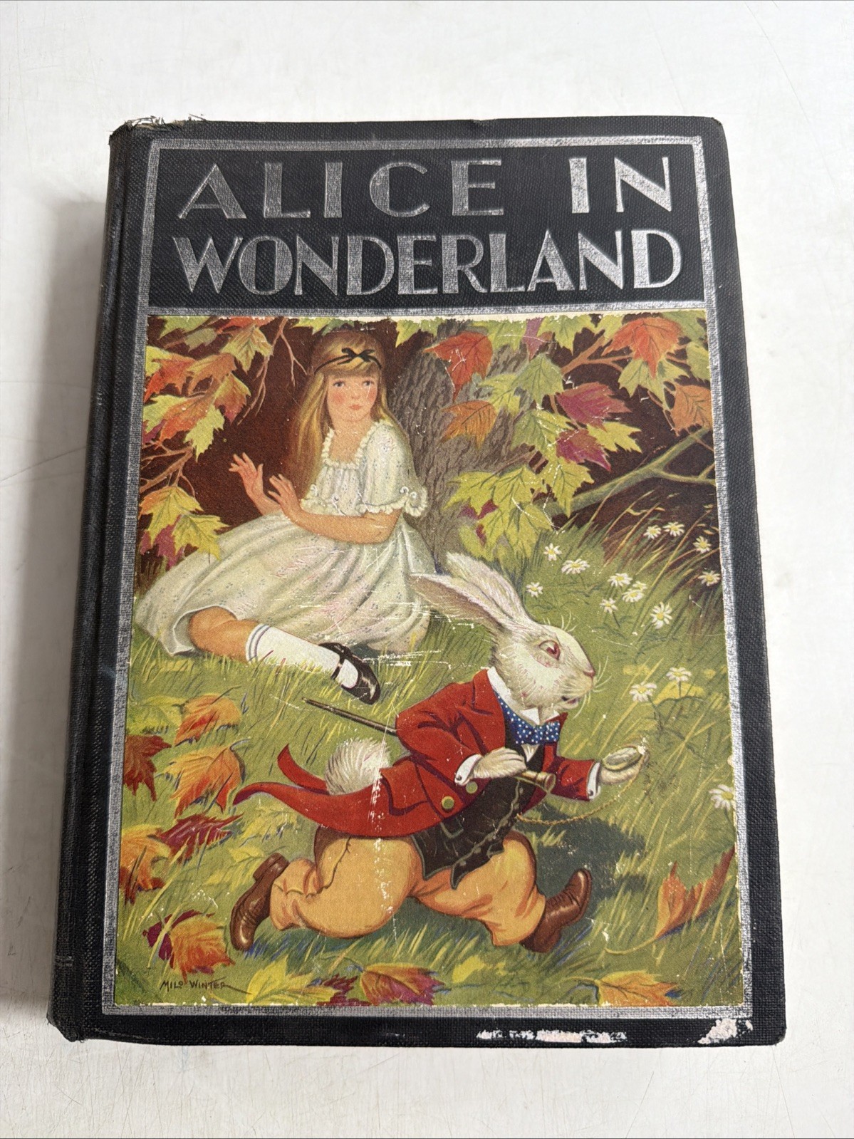 Alice\'s Adventures in Wonderland and Through the Looking Glass Windermere Series