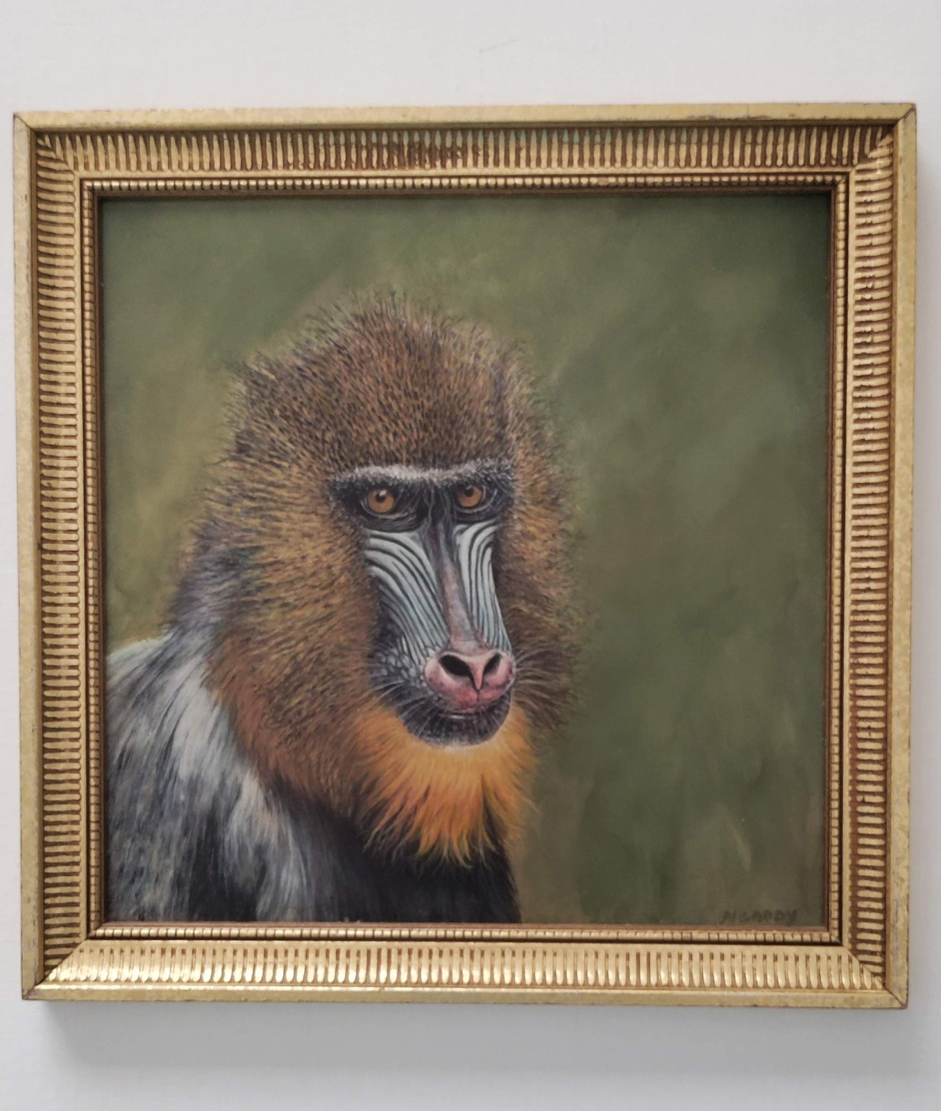 Original Painting 10 x 10 Mandrill Monkey Acrylic Canvas Board Framed Original Painting 10 x 10 Mandrill Monkey Acrylic Canvas Board Framed