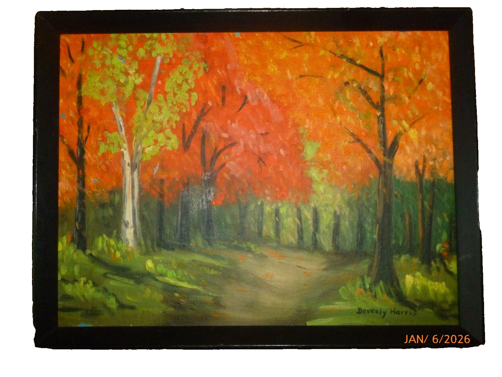 Beverly Harris Original Autumn Forest Landscape Oil Painting Framed Signed