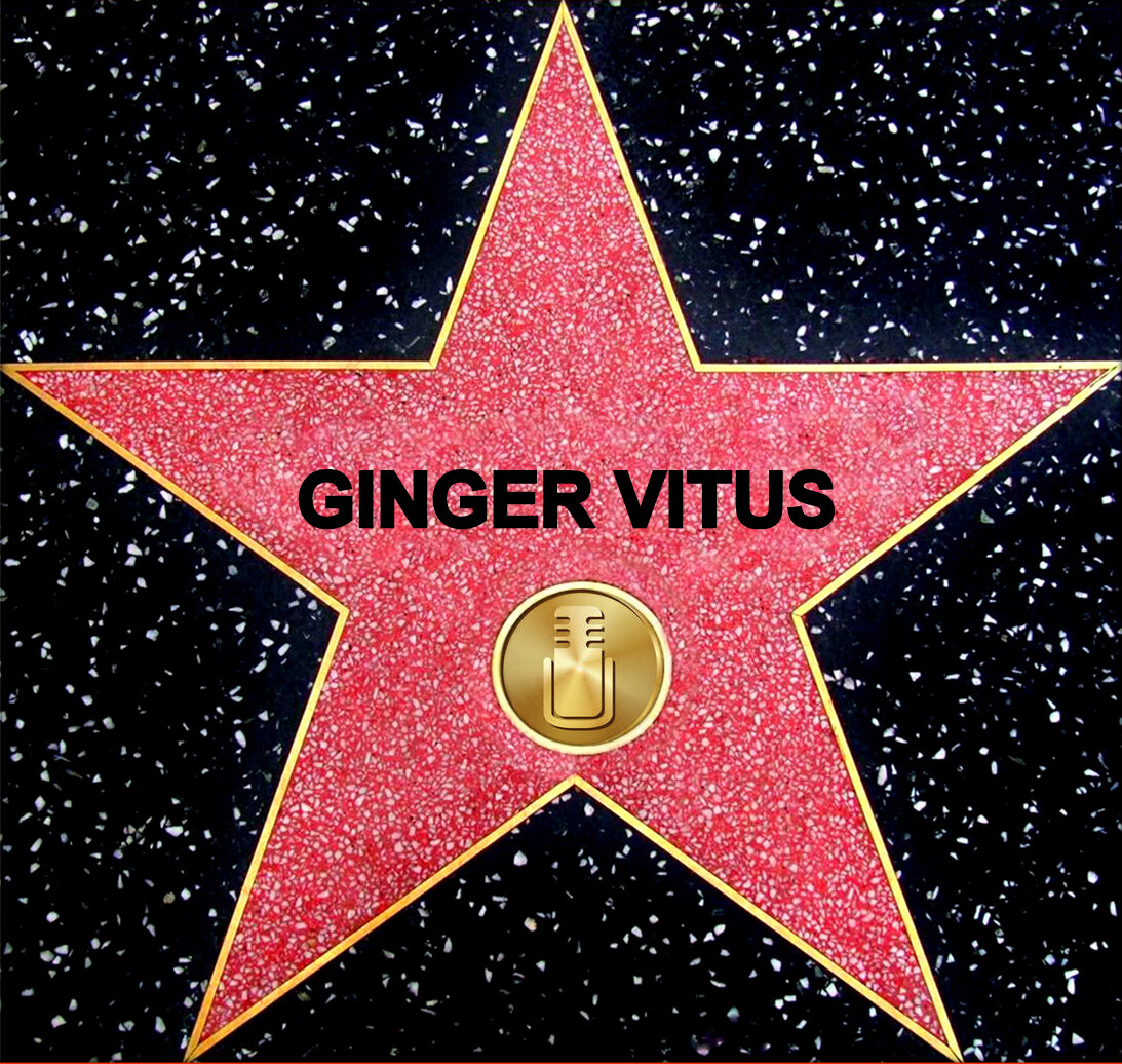 Personalized Hollywood Walk Of Fame RADIO Star Your Name On The Star Photo Gift