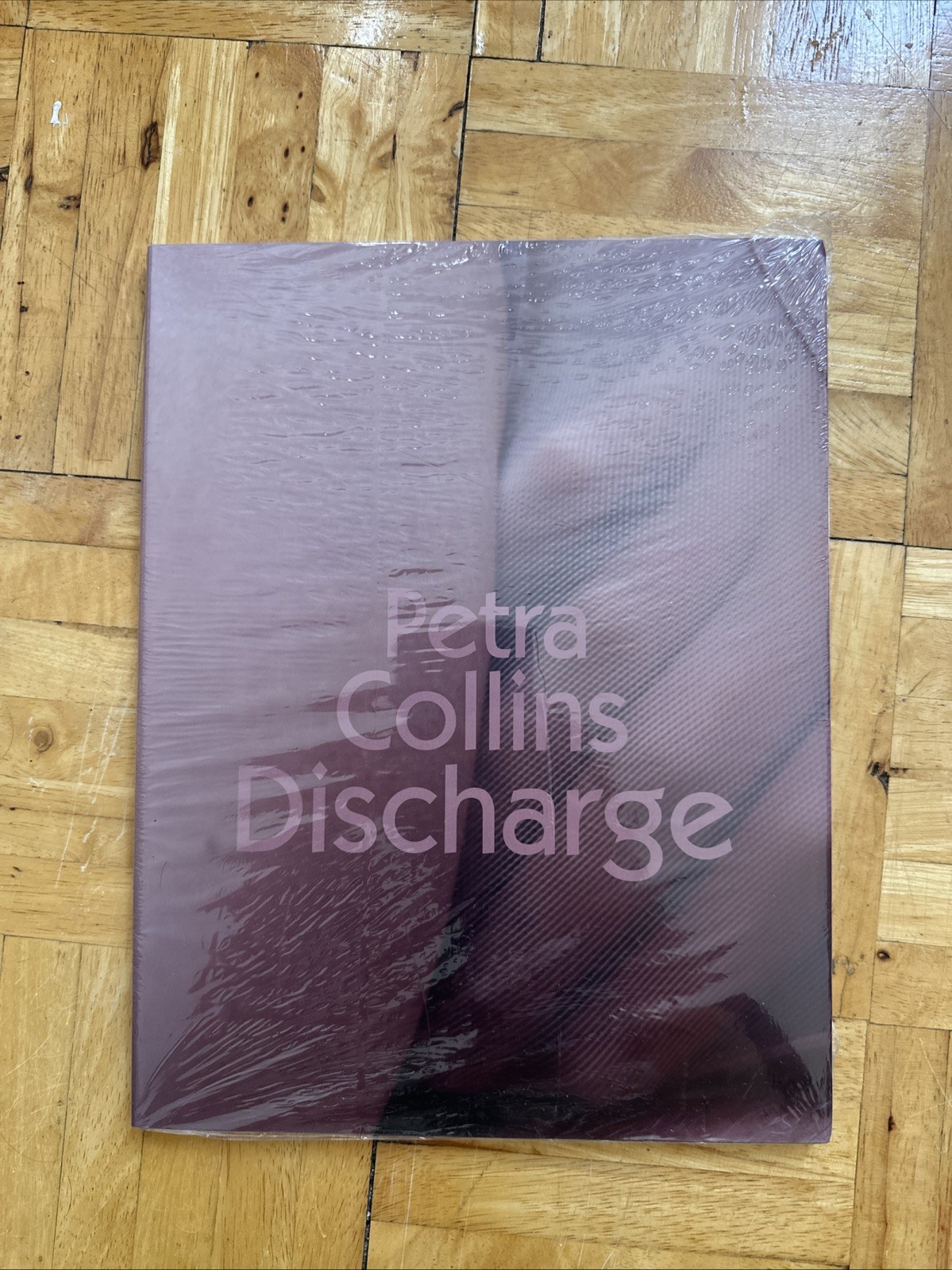 Petra Collins Discharge Book New Sealed 2014