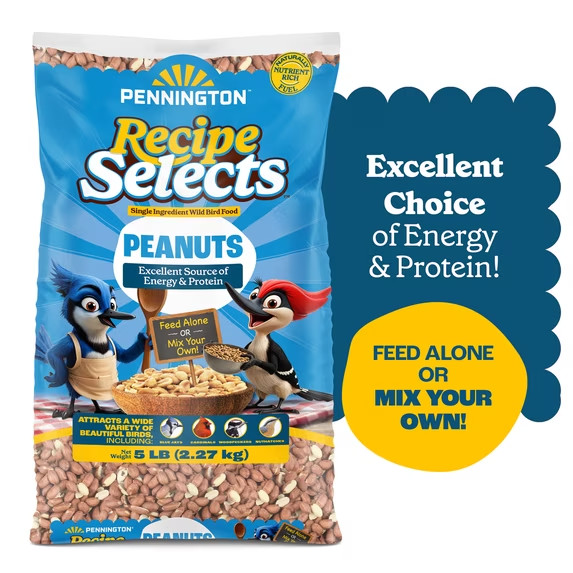 Pennington Shelled Peanuts Wildlife and Wild Bird Food, 5 lb. Bag, 1 Pack, Dry