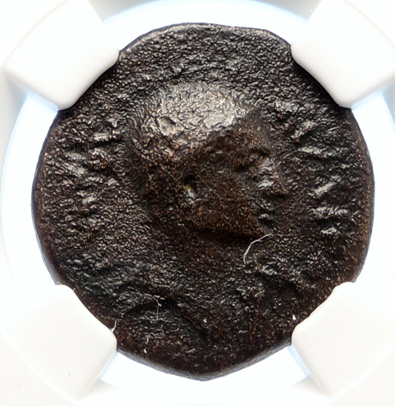 OLBA in CILICIA Authentic Ancient Time of AUGUSTUS Greek Coin AJAX HERMES i95579