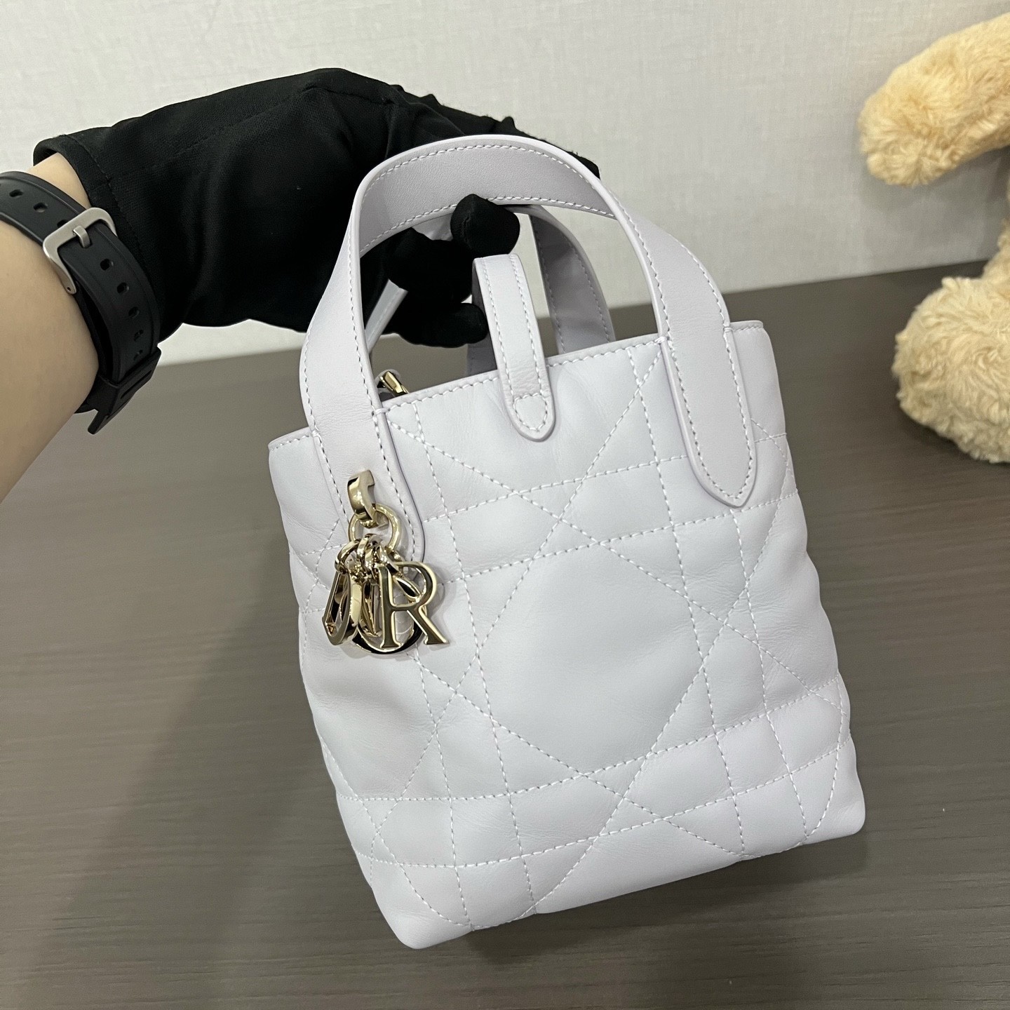 Dior Pre-Owned Authentic Miniature Dior Toujours Vertical Handbag Satchel